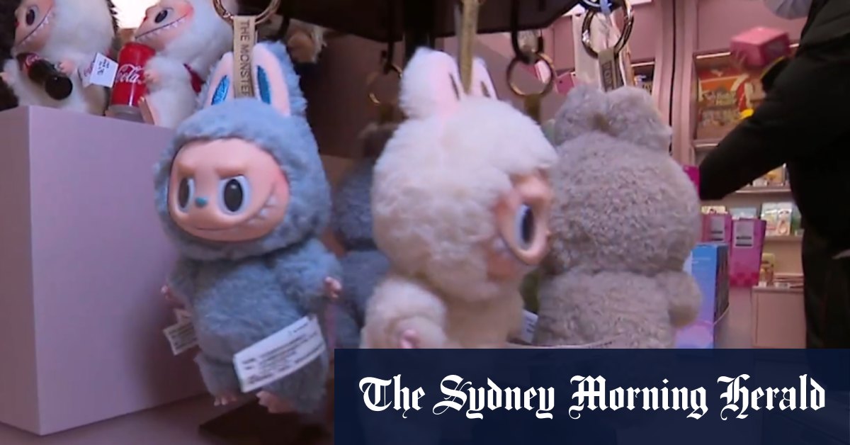 Haul of allegedly stolen Labubu uncovered in Melbourne raid