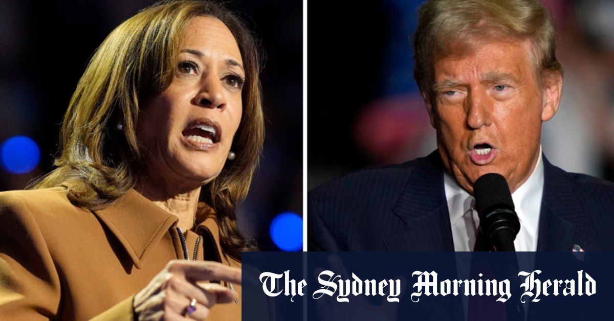 Video Where do things stand one week out from the US election?