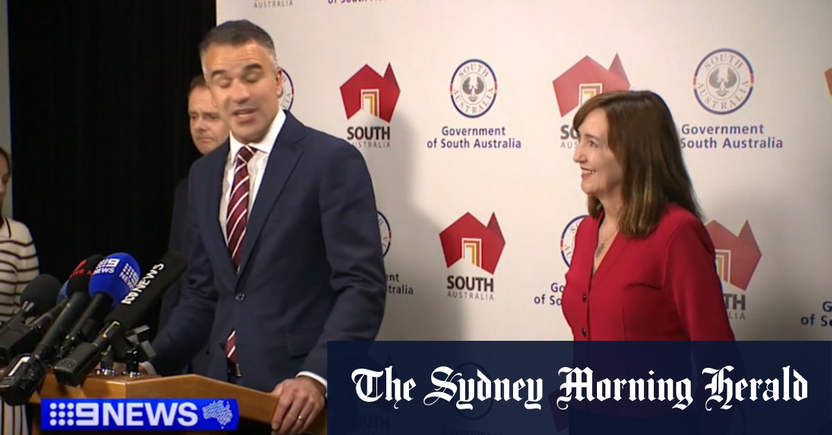 South Australia’s deputy premier and treasurer to quit politics