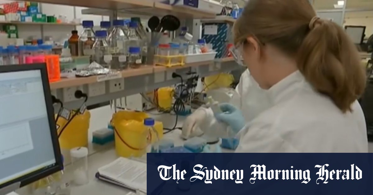 Video: Coronavirus: COVID-19 vaccine could be ready early ...
