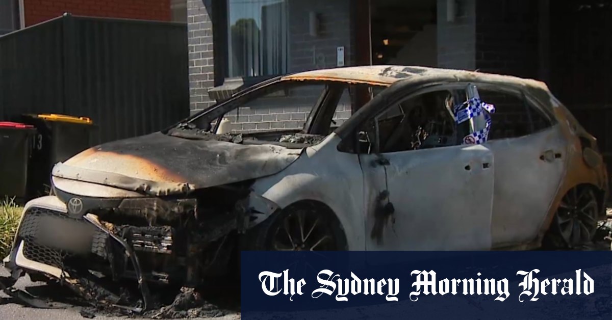Family run for lives after car set alight