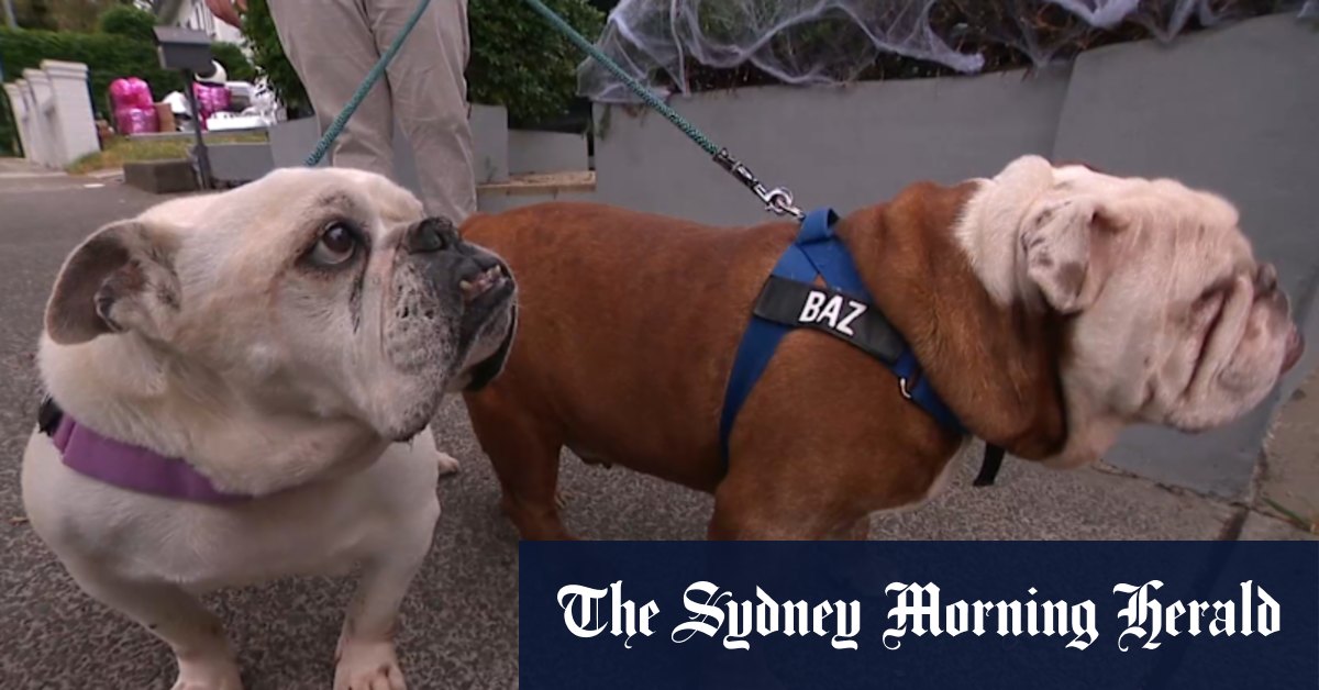 Sydney mum sent note threatening to poison barking dogs