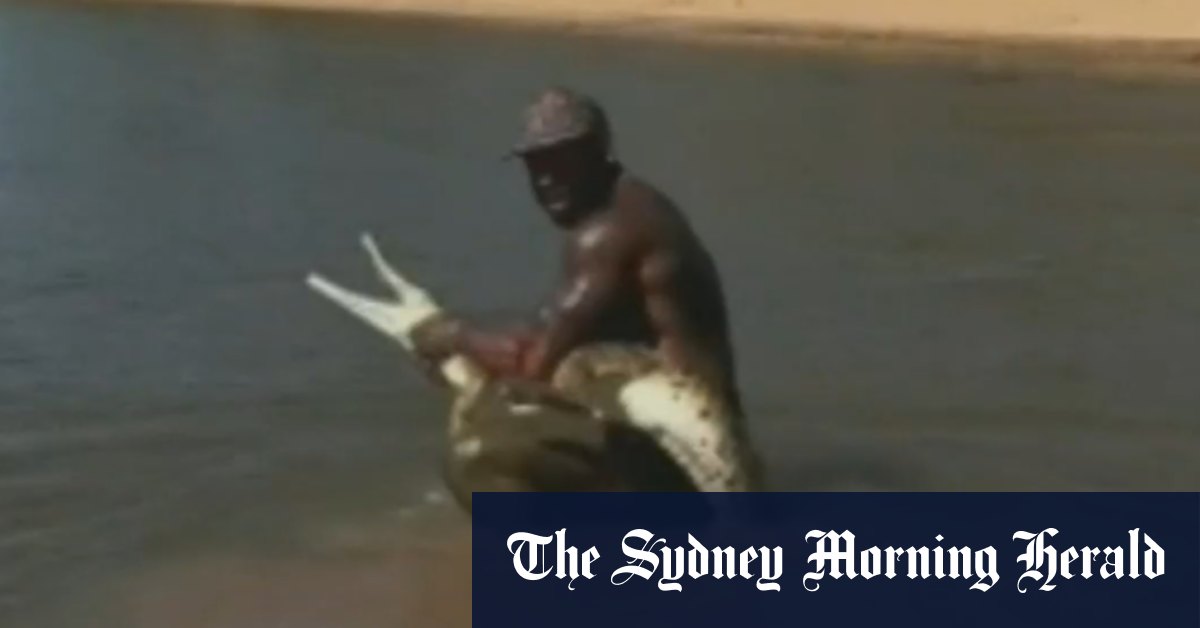 Authorities investigate video of influencer grabbing a croc