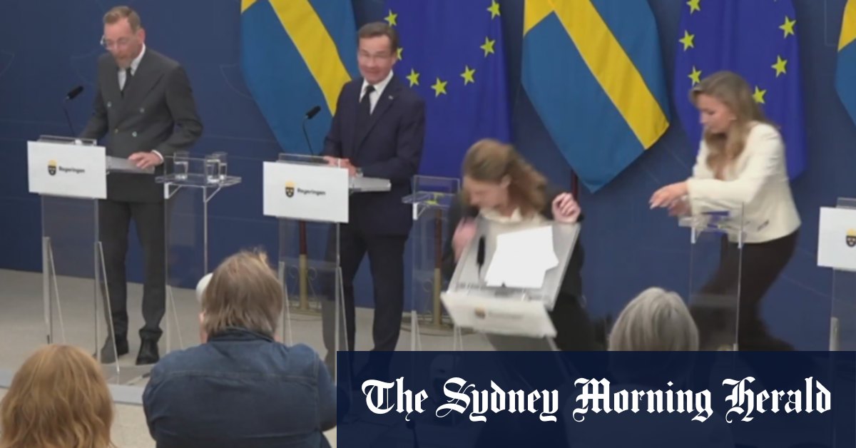 Swedish health minister collapses during media conference