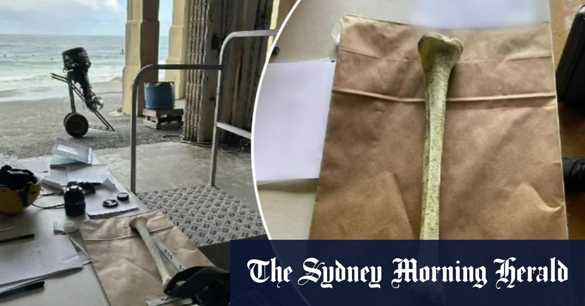 Video Investigation after mysterious bone washes up on WA beach