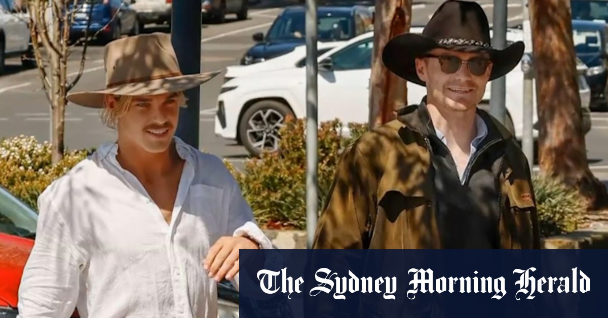 Cats cause a stir on Mad Monday