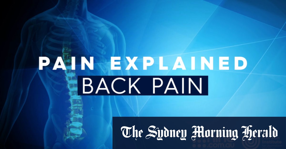 Video Pain Explained Back Pain