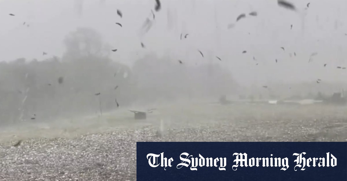 Storms lash the east coast