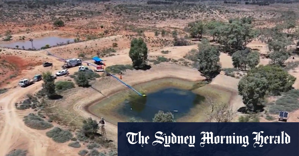 Reporter slammed after confrontation with missing four-year-old’s grandmother