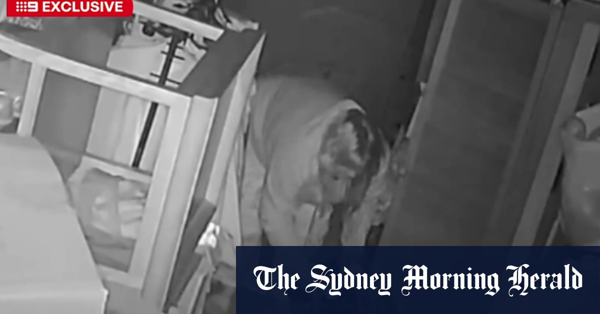 Adelaide charity store target of cruel crime