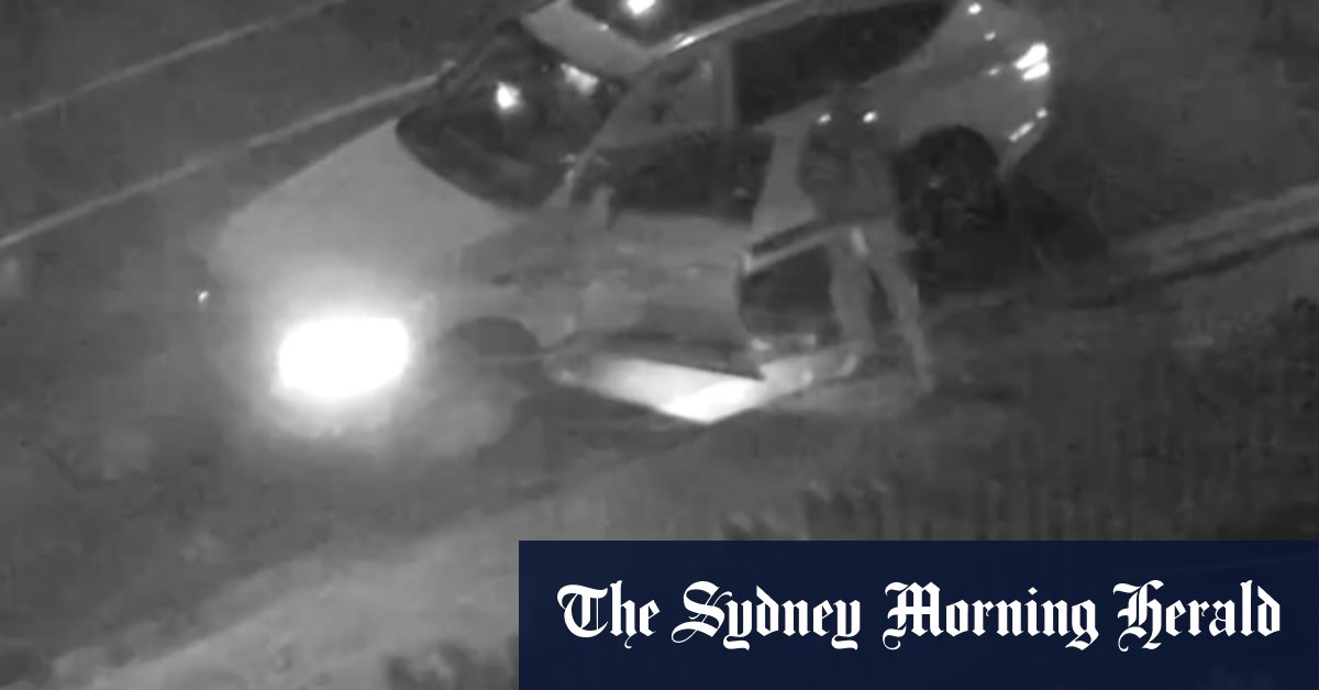 CCTV footage released of man shooting a ‘high-powered rifle’ into Sydney home