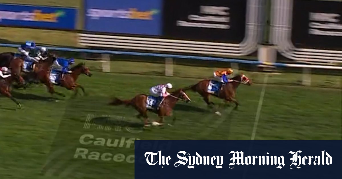 Autumn Boy stuns the pack in the Guineas