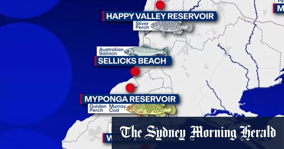 Thousands up for grabs in SA tagged fish competition