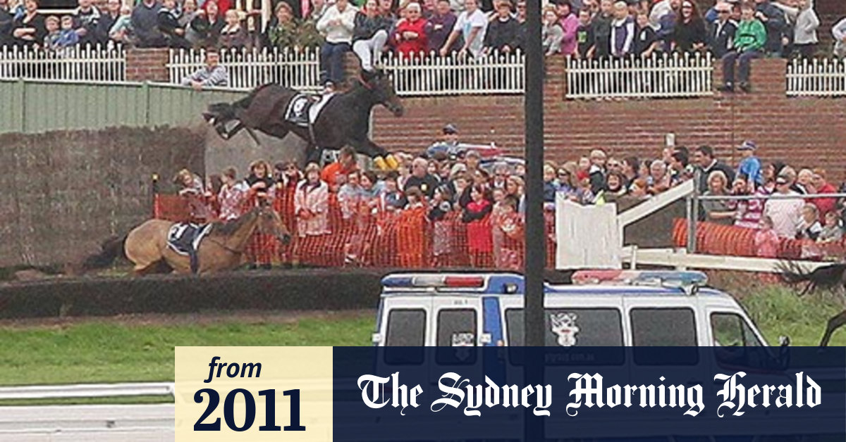 A bad day at the races: seven hurt as horse leaps into crowd