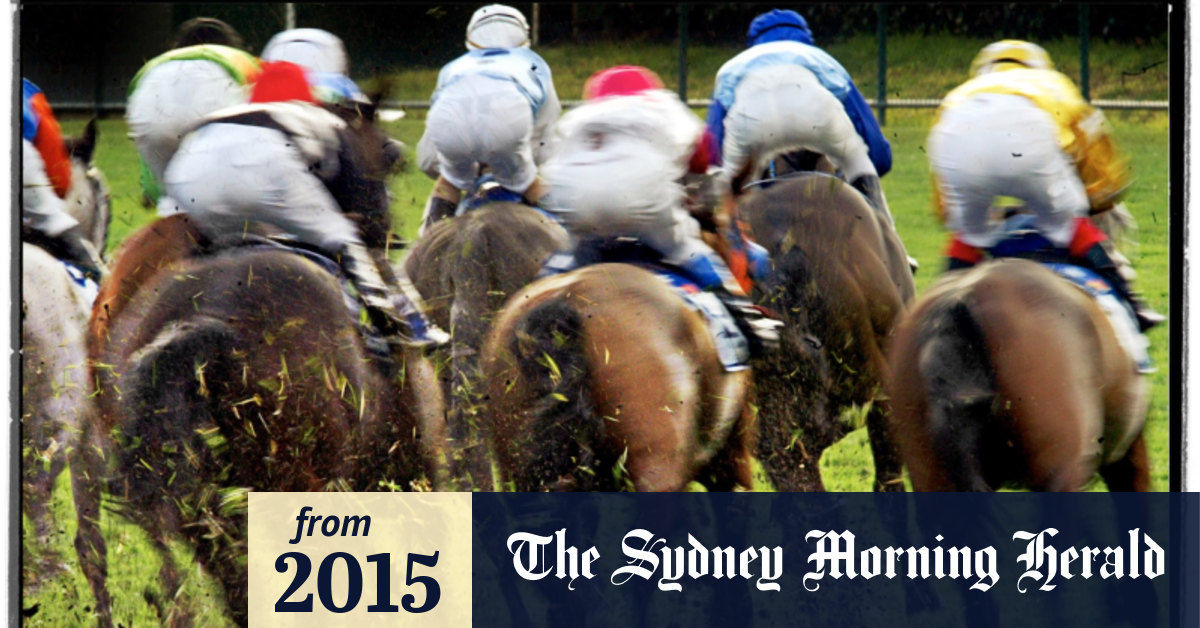 Tvn The Poisoned Chalice Of Australian Racing A shaun the sheep movie: sydney morning herald