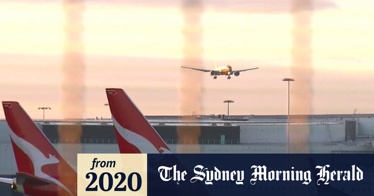 Video: Flights between Sydney and Adelaide resume as coronavirus border ...