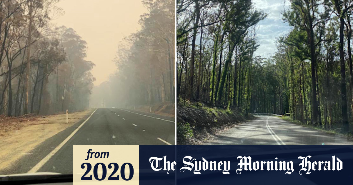 Video: Then and Now: One year since horrific Black Summer bushfires
