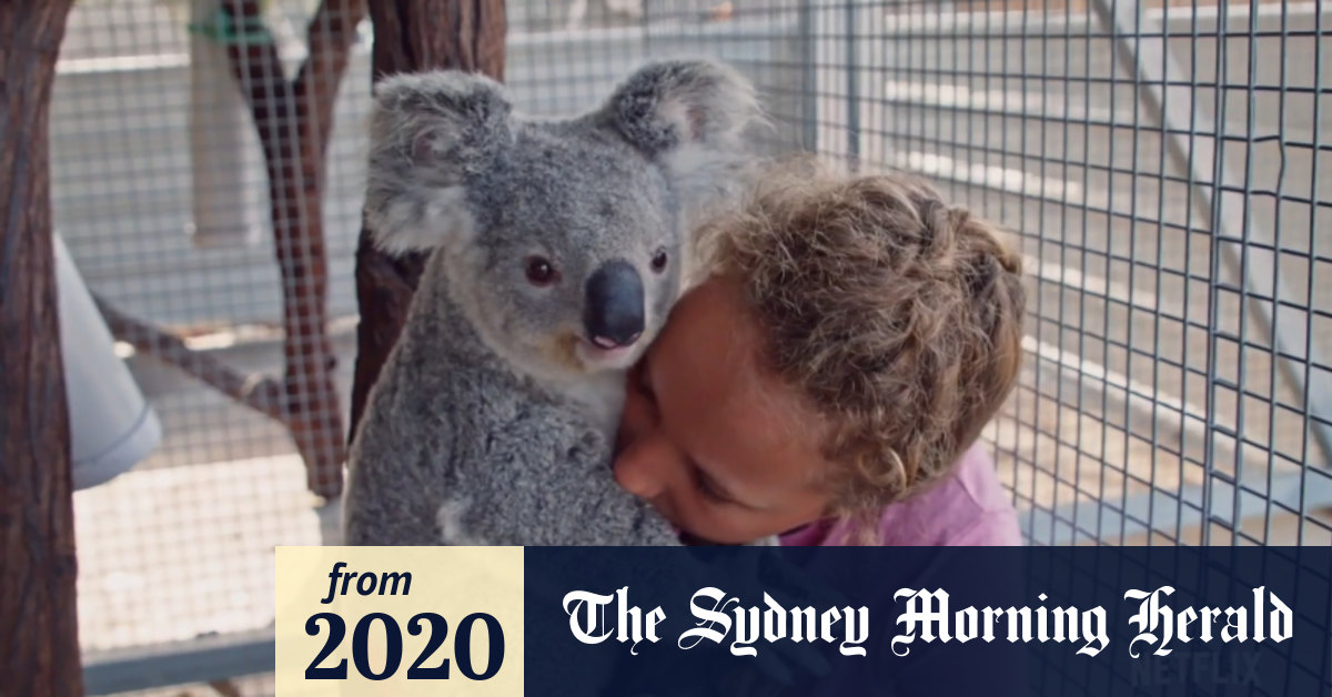 Trailer: Izzy's Koala World