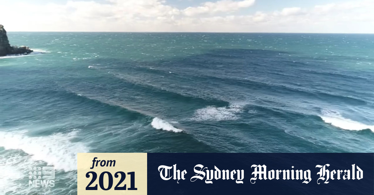 Video: Huge swell smashes Sydney