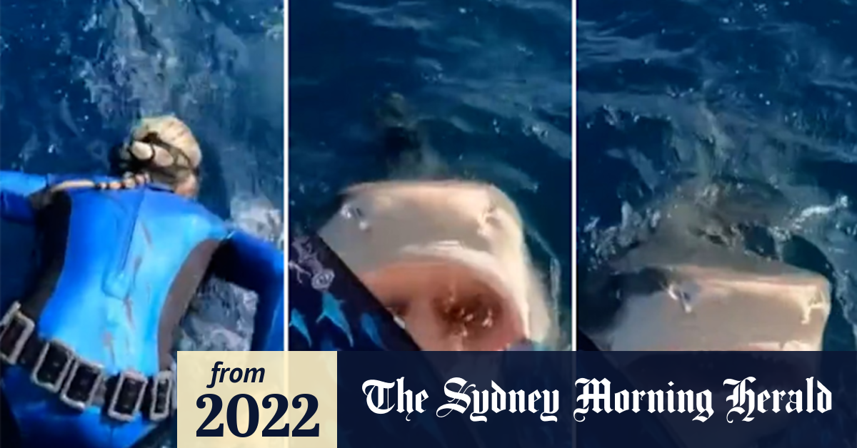 Video: Marine biologist speaks after viral video