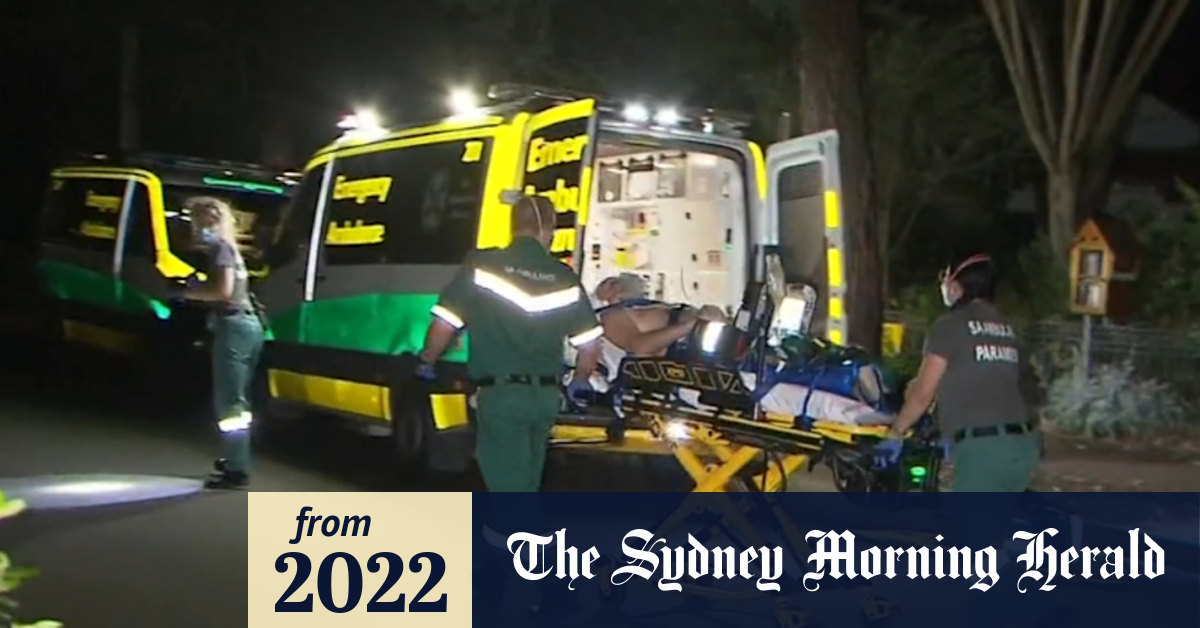 Video: Man rushed to hospital after being stung by bees