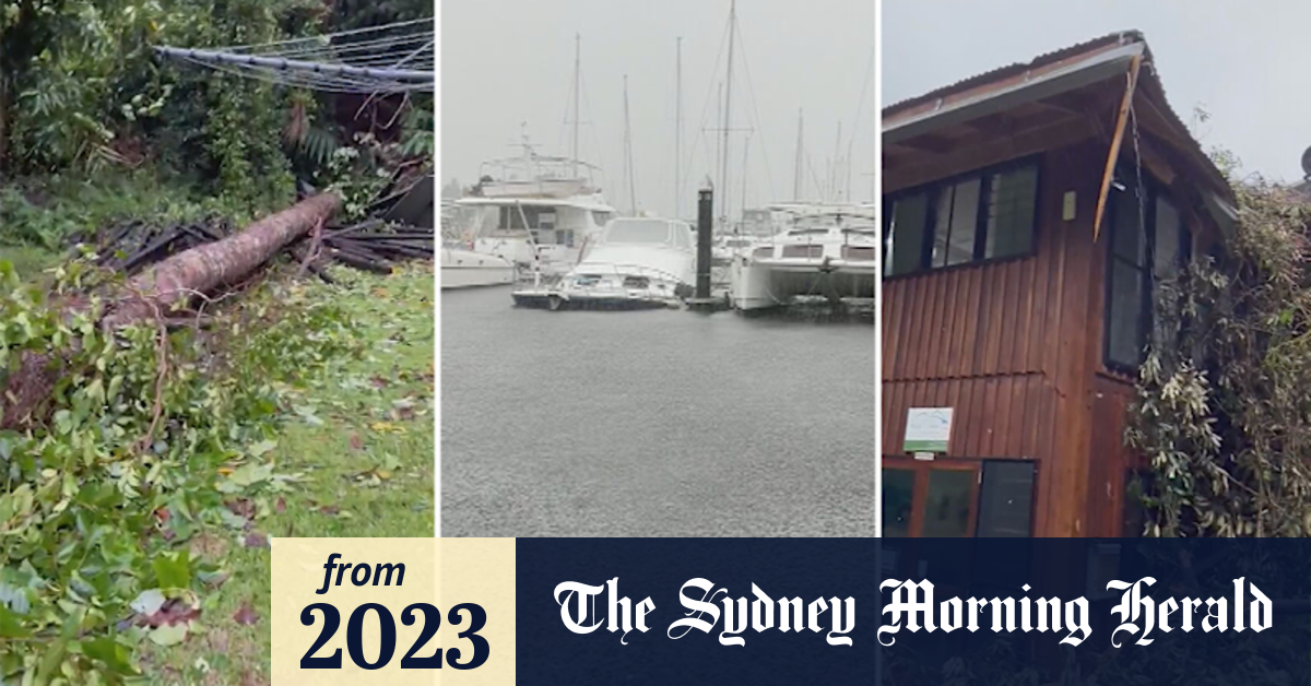 Video: Recovery begins in Far North Queensland after Cyclone Jasper ...