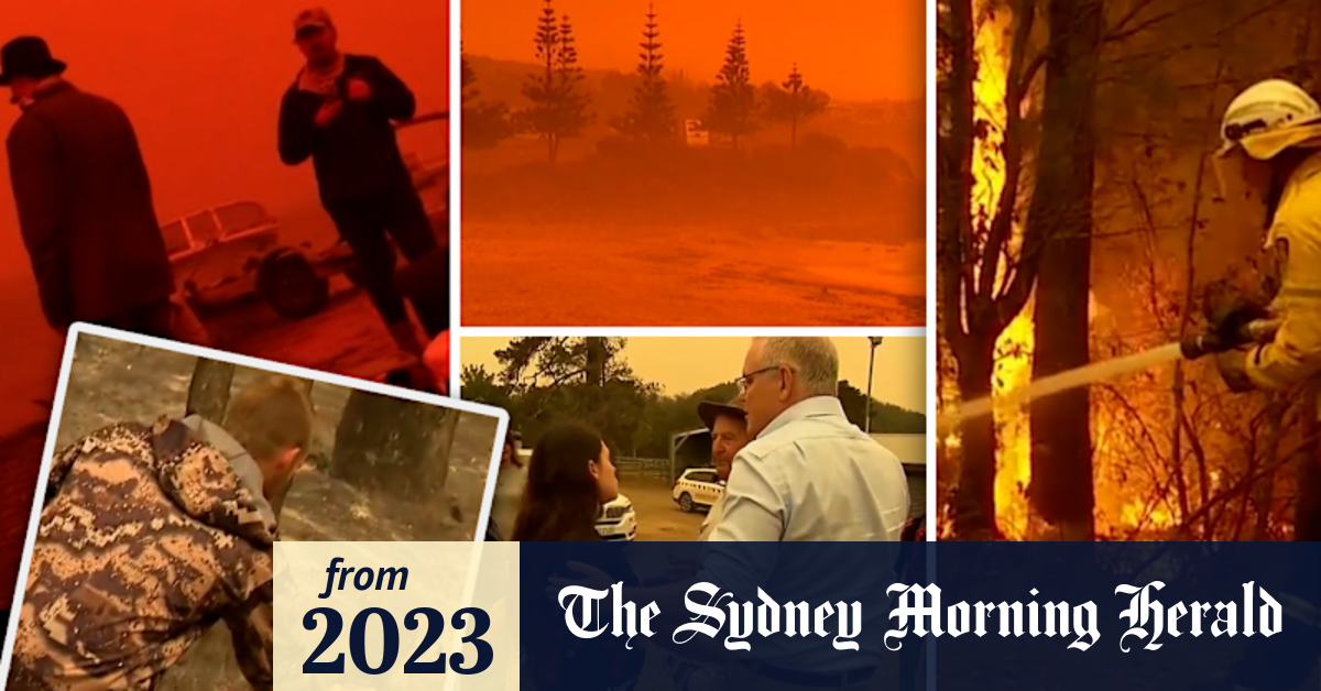 Video: Looking back on the Black Summer bushfires