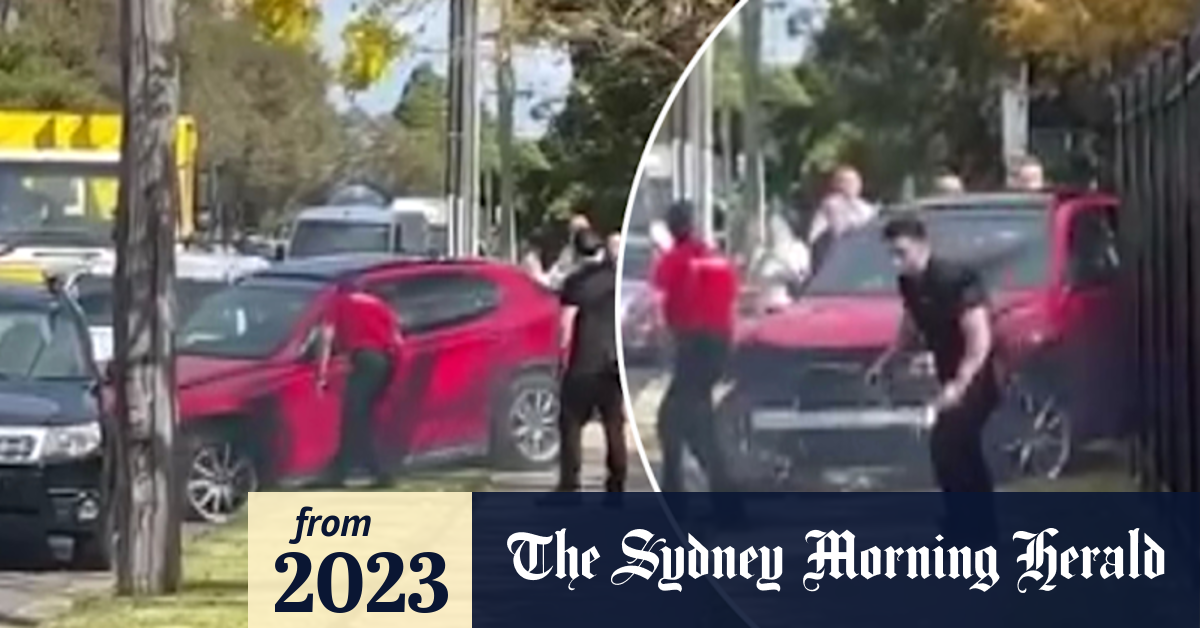Video: Officers chase allegedly stolen car in Sydney