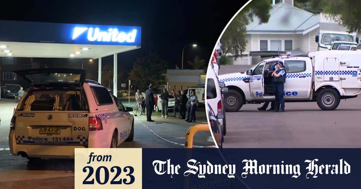 Video: Teen in custody after Sydney alleged robbery