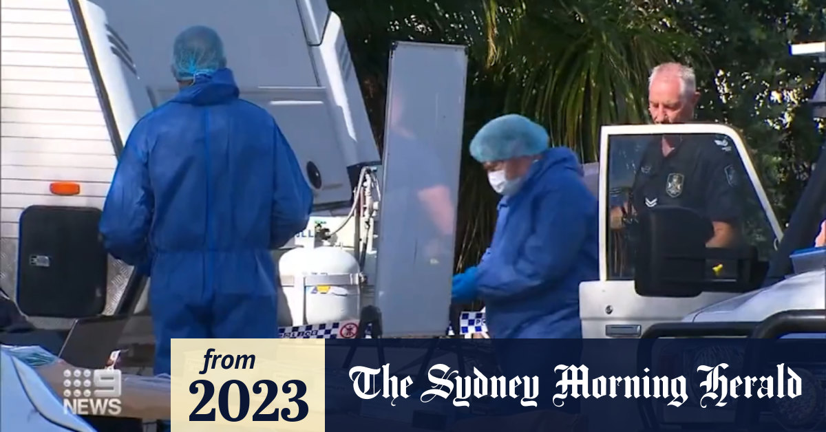 Video: Murder investigation after woman found dead in Queensland home