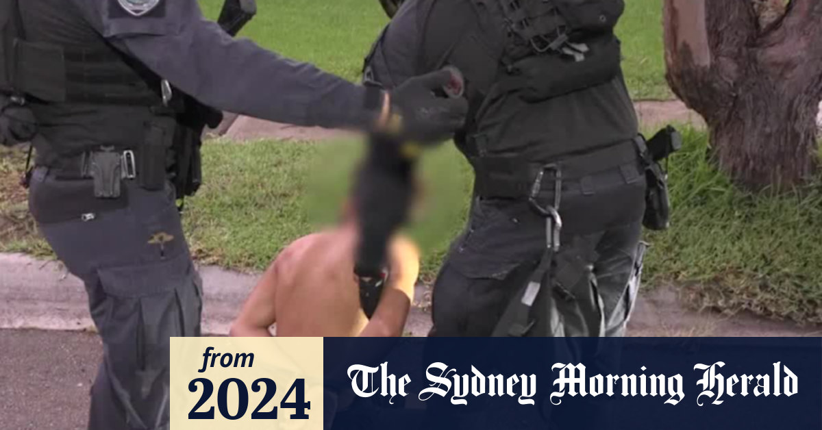 Video: Police foil alleged murder plot against underworld figure