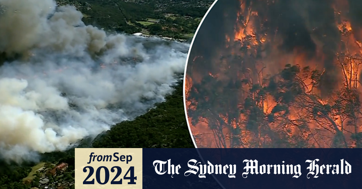 Video: Out-of-control fire in Sydney's north