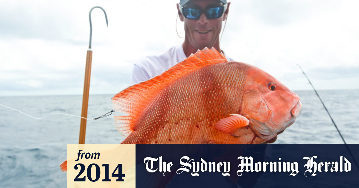 FishBrain's algorithm reveals where the fish are biting