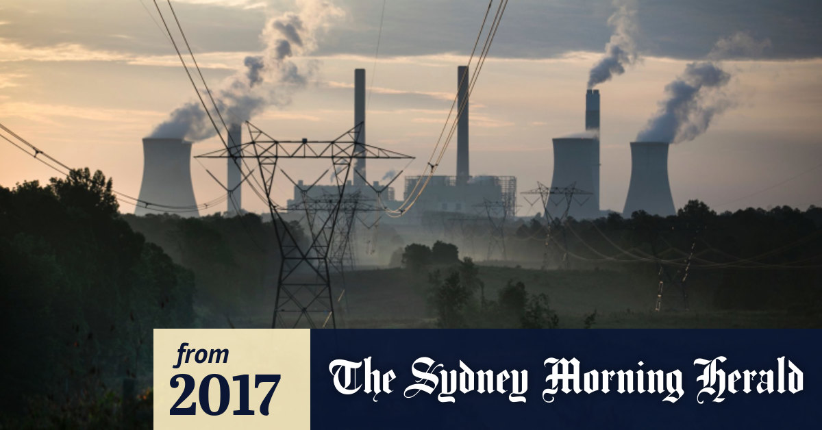 Insurance outline finkel 08 picture