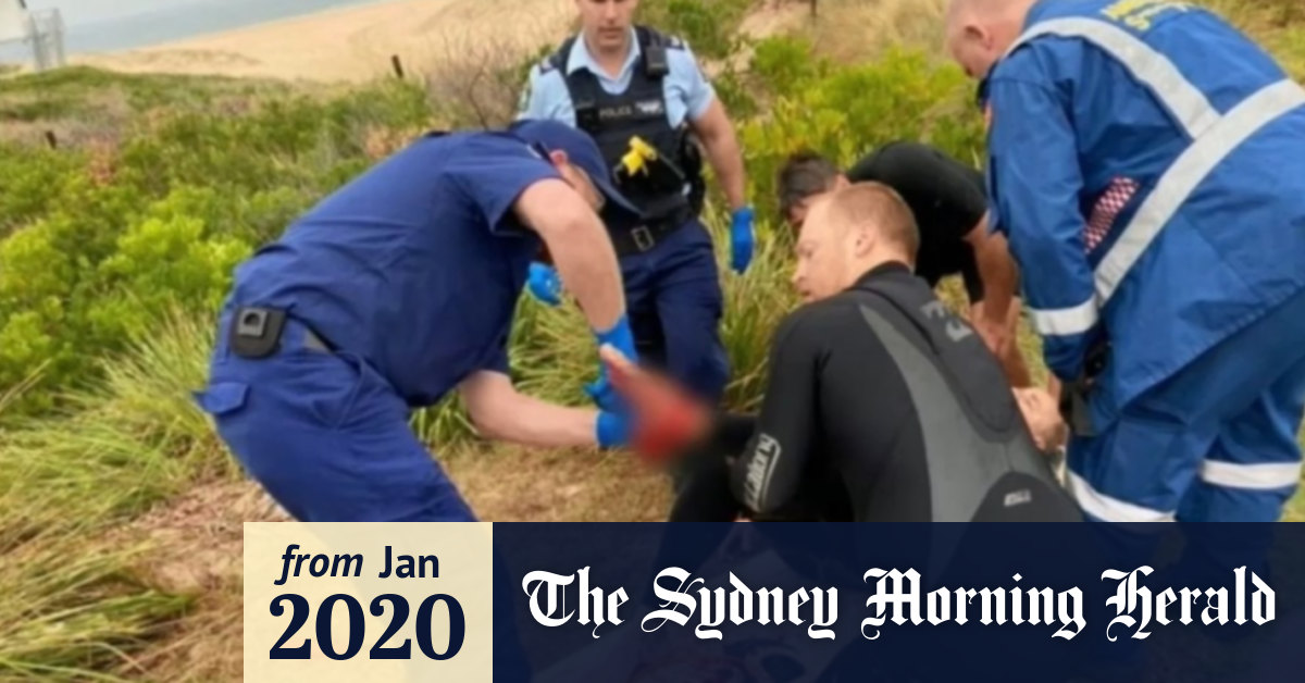 Video: Shark attack south of Sydney
