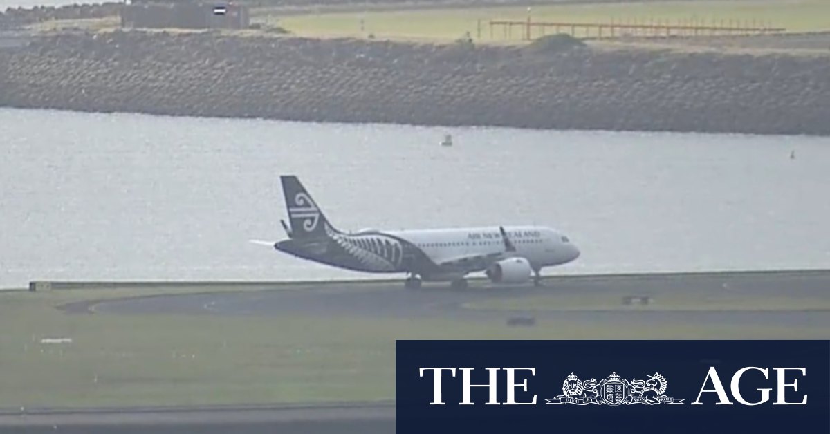 Video New Zealand flight grounded at Sydney Airport after safety threat