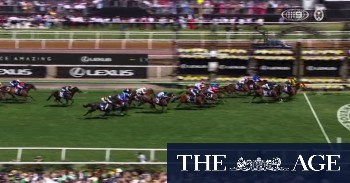 Video Melbourne Cup 2024 Knight's Choice wins
