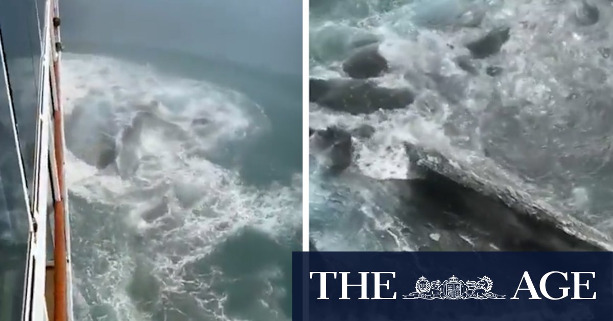 Cruise ship damaged after it hits iceberg in Alaska TrendRadars
