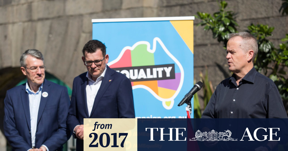 Same Sex Marriage Lgbtq Agencies Prepare For Sharp Rise