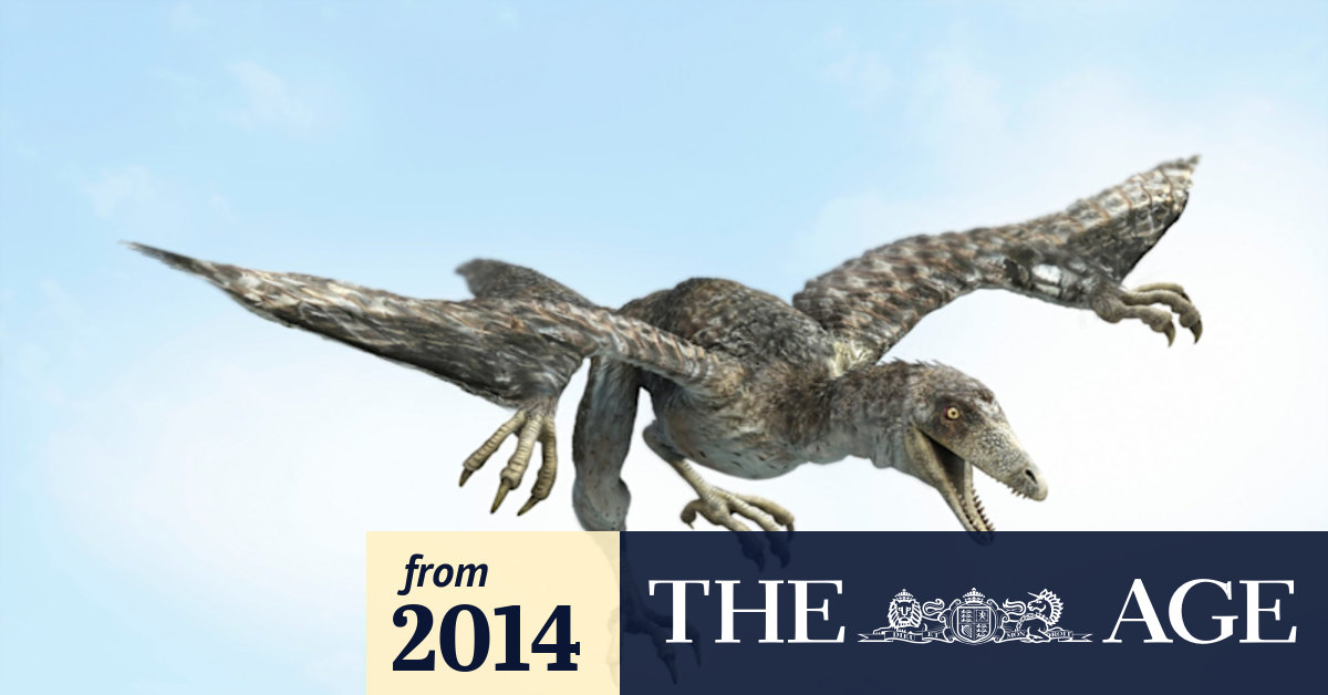 Feathered dinosaur changyuraptor yangi sheds new light on flight
