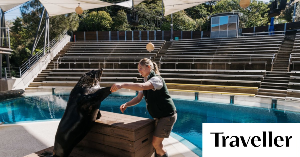 COVID19 and zoos Why Sydney's Taronga zoo animals miss humans during