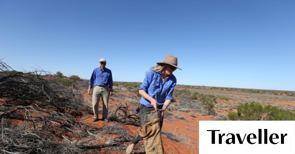 Roxby Downs, South Australia Travel guide