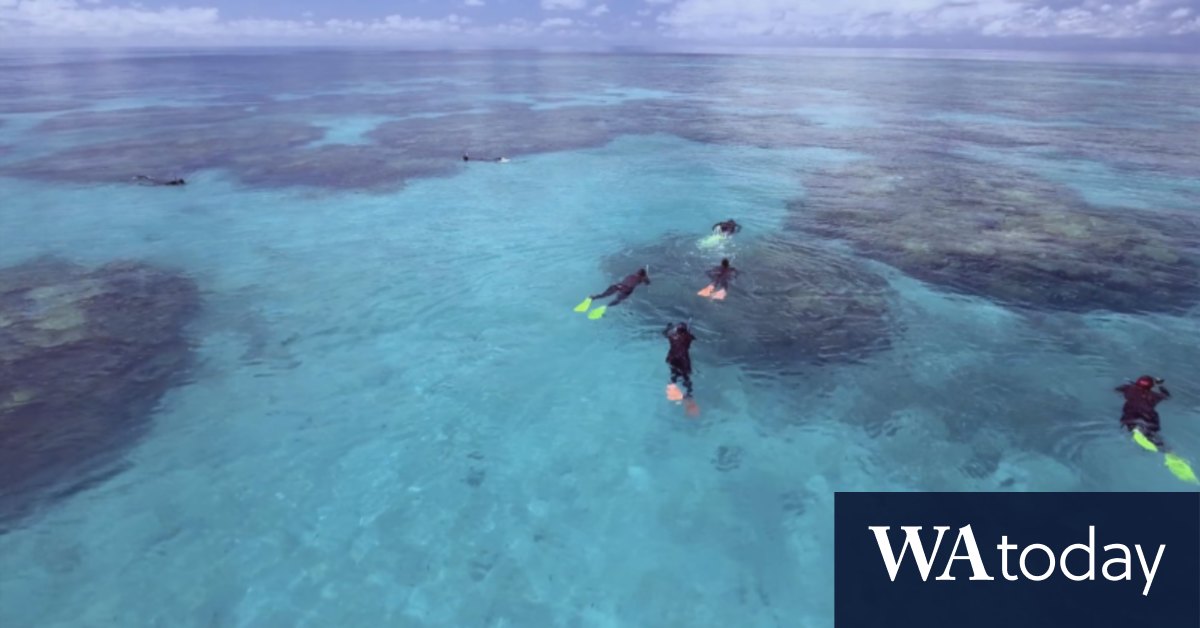 Video: Queensland travel vouchers