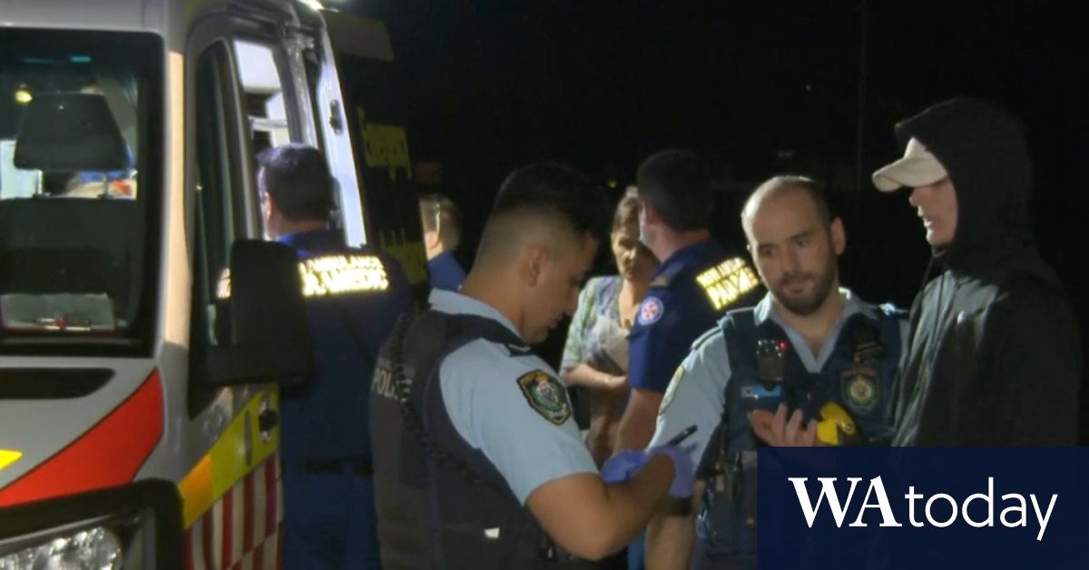 Video Woman charged after axe attack in Sydney's southwest