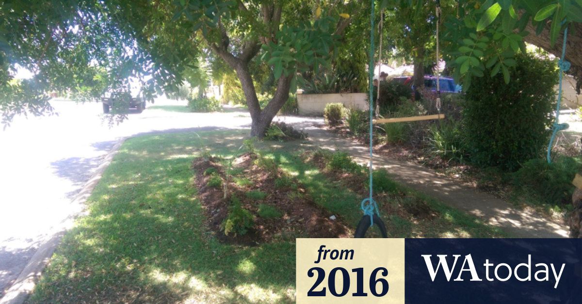 Perth Council Verges Native Plants Vegetables Fake Lawn Do What You Like