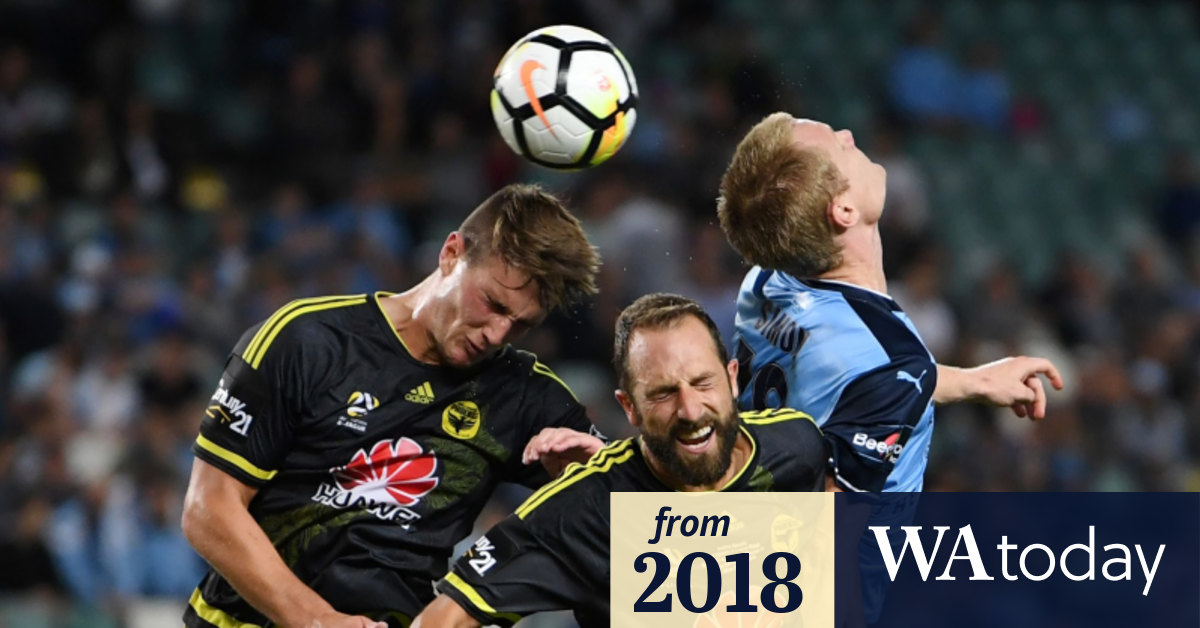 36 Prediksi sydney fc vs wellington phoenix