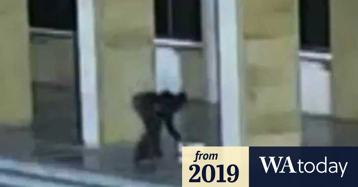 Video: Perth woman's bizarre blood ritual after killing her own mother