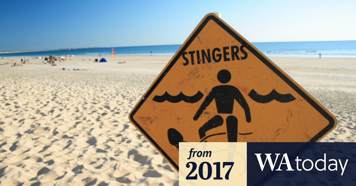Popular Broome beach closed after box jellyfish sting