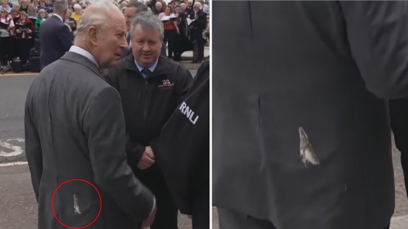 Seagull leaves it's mark on King Charles in Ireland