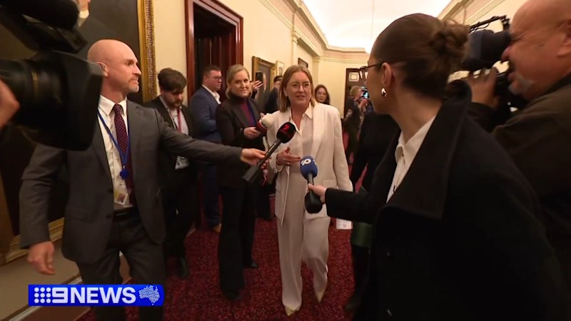 Victorian Deputy Premier Addresses Leadership Rumors, Focuses on Work-From-Home Laws